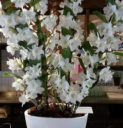 Val Di Monte * Μαλτσεζίνε