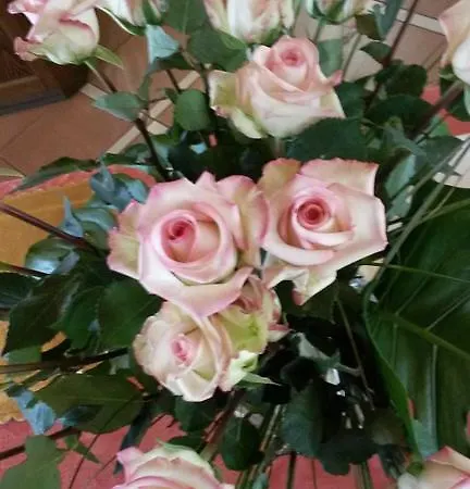 Val Di Monte Apartment *