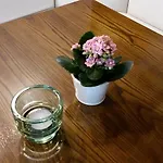 Apartmán Val Di Monte *